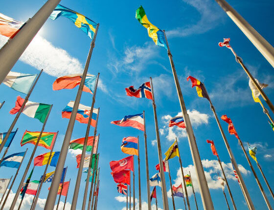 Terra Alliance Announces Record-Breaking Year and Global Expansion